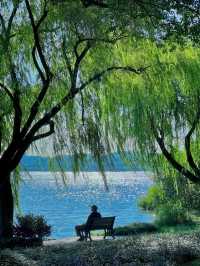 Discover the Beauty of West Lake with a 30,000-Step Adventure!