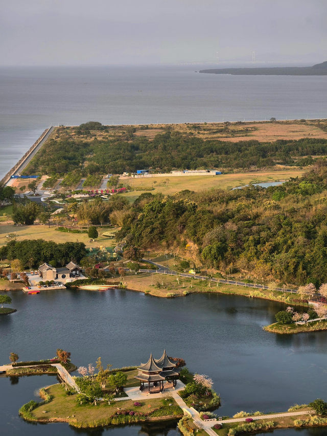 珠海中山公園：鬧市中的靜謐桃源