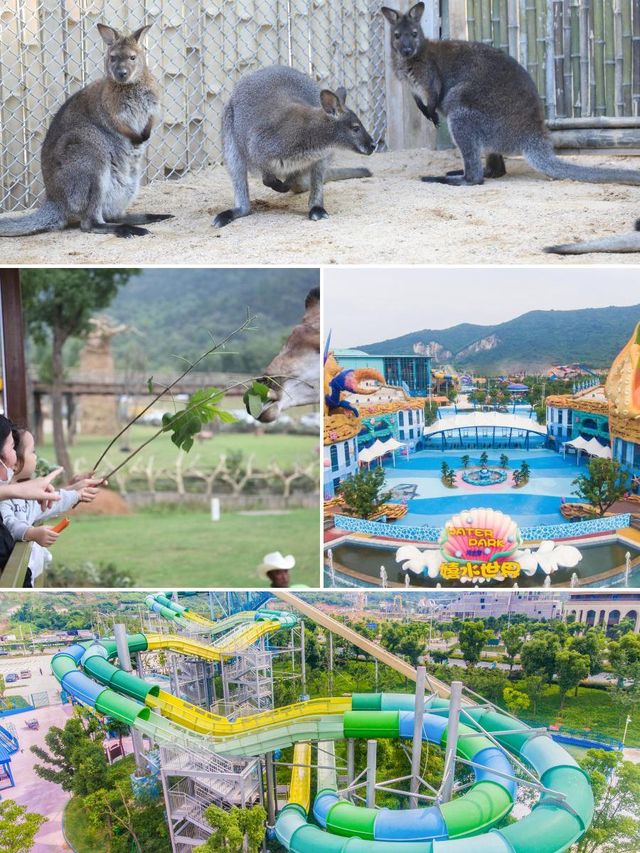 太湖之旅，入住風景之中，超寫意！