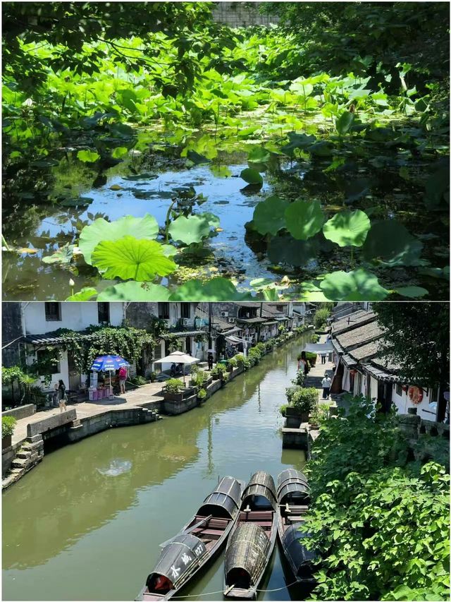 五一直達高鐵！呢3個小眾地方避開人潮玩得爽