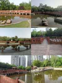 南部爬山式遊園！桂博園爬坡5分鐘，快樂一整天～