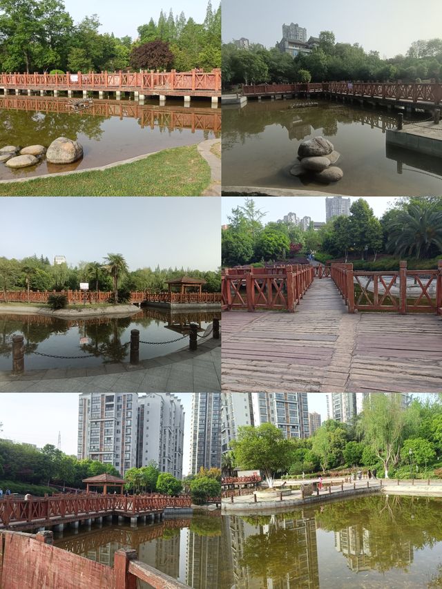 南部爬山式遊園！桂博園爬坡5分鐘，快樂一整天～