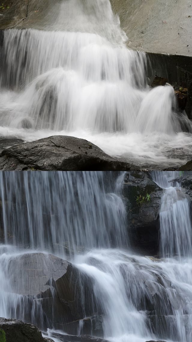 鼎湖山寶鼎園，有「球」必應。