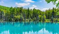 北海道夏日清涼指南 花海與山海的詩篇