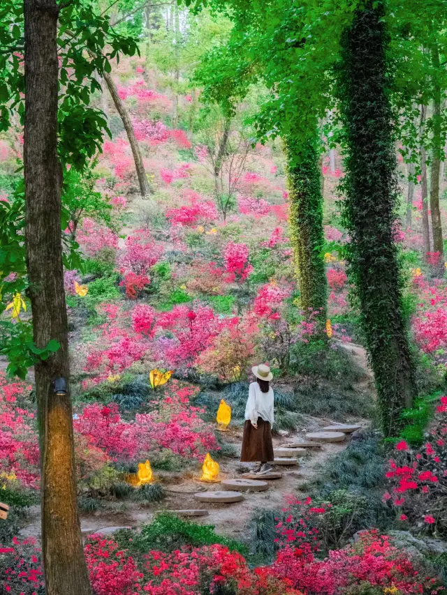 高鐵直達，我找到了避世小鎮裡的江南春色