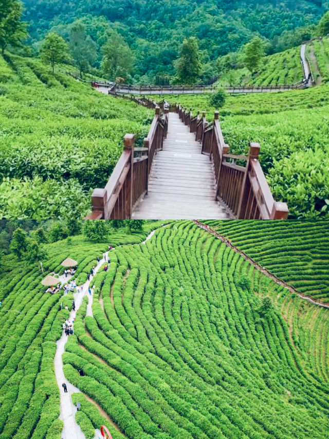 安康必玩景點:山水田園，氧吧之城