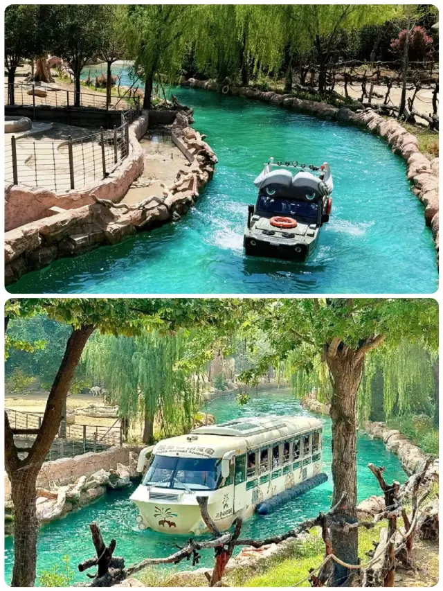 Adorable Beasts Gone Wild! Silver Base Fantasy Day and Night Adventure