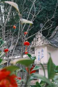 福州羅源｜慶雲禪寺一遊