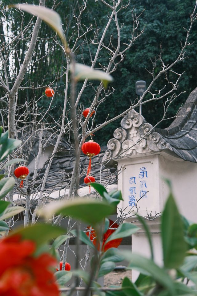 福州羅源｜慶雲禪寺一遊