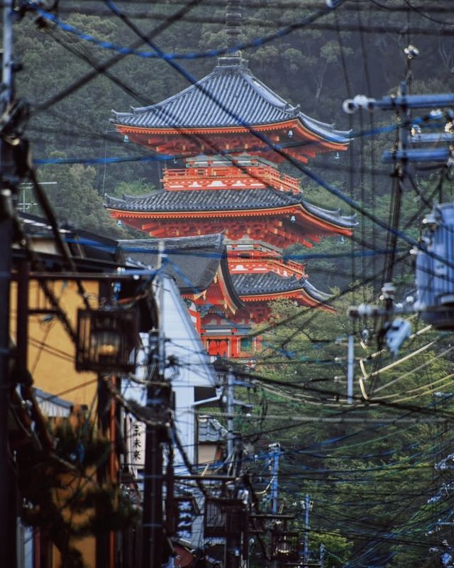 懶人福音 | 京都宇治一日遊攻略，快收藏