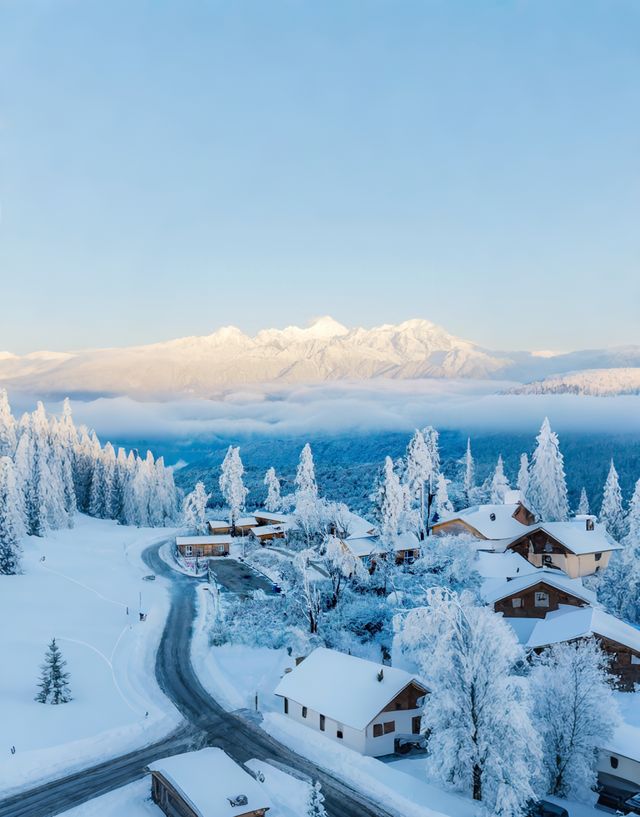 成都周邊2h直達！雅安王崗坪·雲端之上的冰雪王國