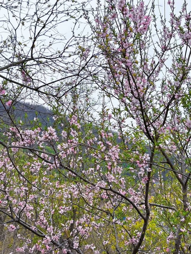 老幼皆宜鄭州40min找到的小眾免費爬山