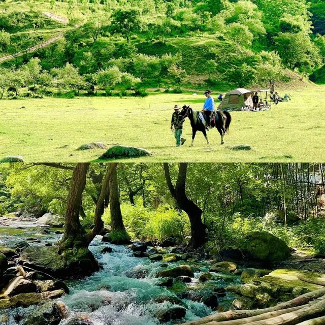 漢中寶藏旅遊攻略 必去景點大揭秘