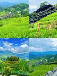 跟住《國家地理》嚟嘅龍脊梯田，有被治癒到