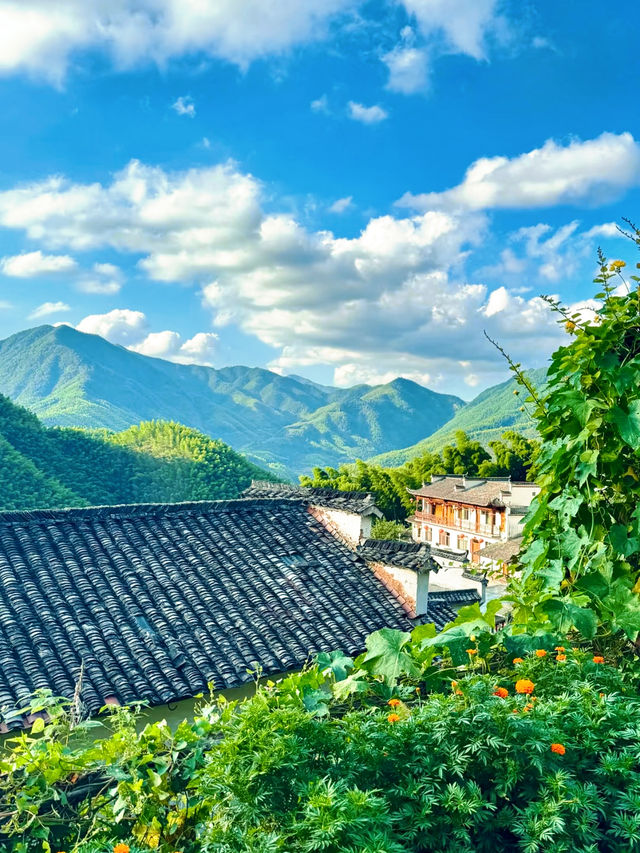 宏村旁！追《臥虎藏龍》竹海江湖夢