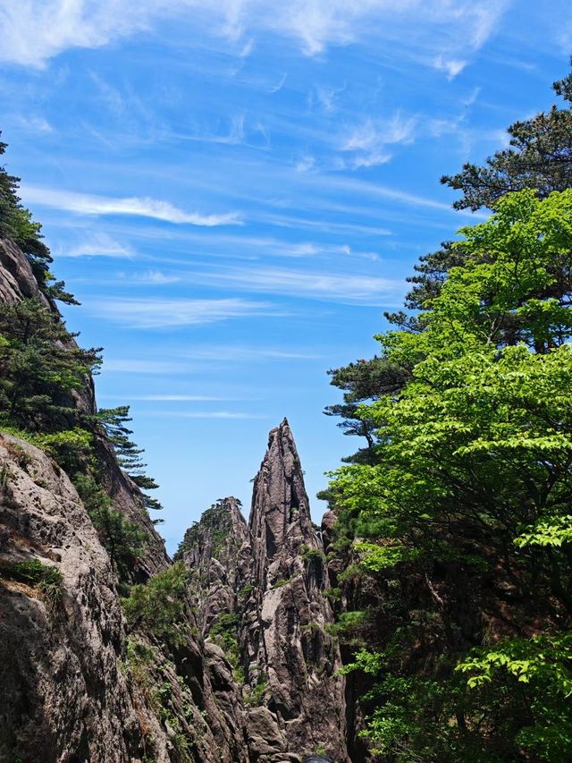 黃山特種兵！