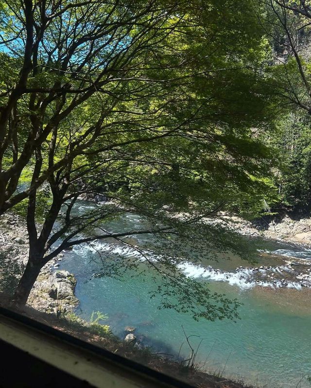 京都＆奈良精華一日遊，大阪跟團省心攻略