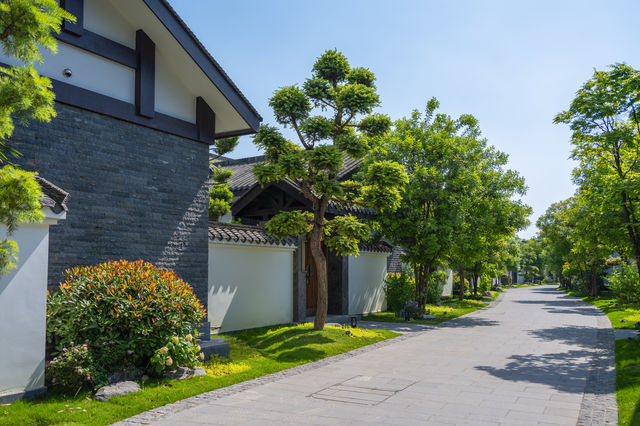 喺三星堆旁邊挖到寶喇！莊升曉月住到唔想走~