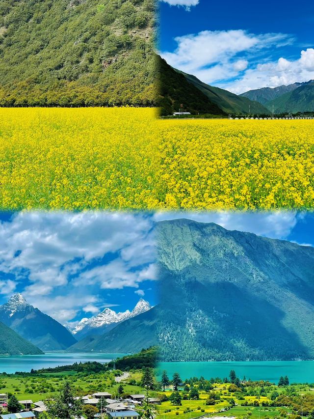 西藏高原上翡翠明珠:巴松措