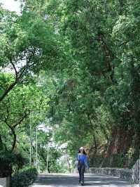 返工攰咗就去行山啦～廣州市區小眾行山路線～