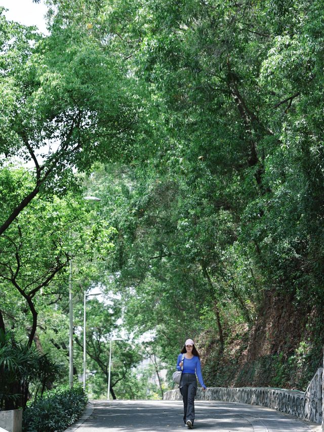 返工攰咗就去行山啦～廣州市區小眾行山路線～