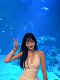 普吉島7天6晚姐妹行 | 好影又好玩‼附實用行程分享✔