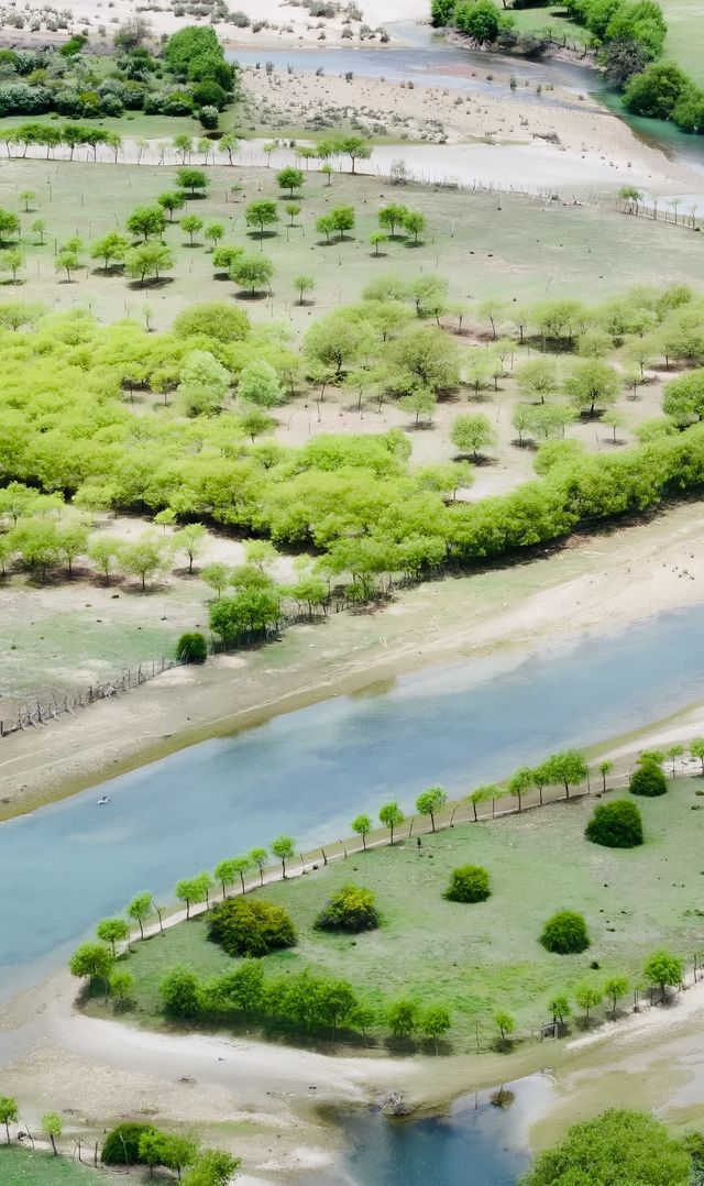 雅尼國家濕地公園
