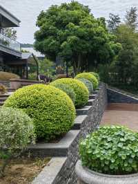 南京秘境｜青龍山莊深度探店