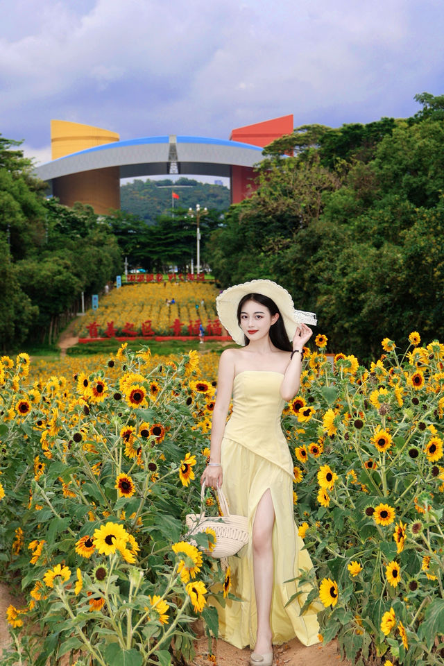 福田中心區向日葵公園 | 邂逅滿分鬆弛感的夏日