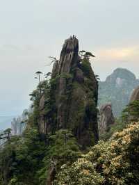 上饒三清山｜住進三清宮畔的秘境聖地之中