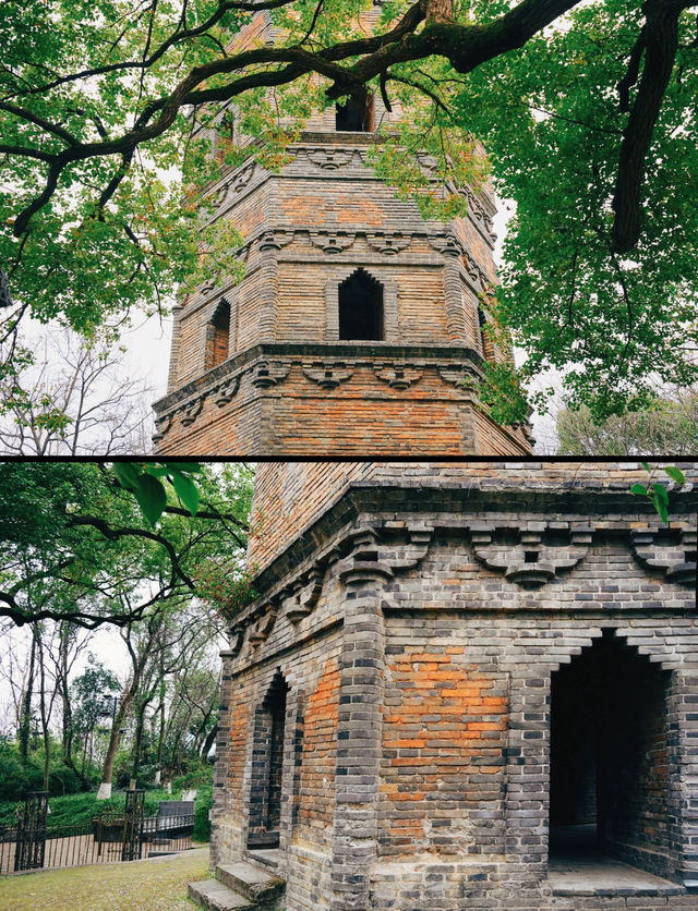 浦江塔山公園｜闖入《黑神話：悟空》嘅真實世界