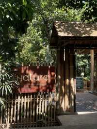 曼谷咖啡廳神級打卡｜Nature Cafe 承包湄南河森系慢生活☕️