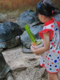 帶小朋友去動物園就啱晒！！！