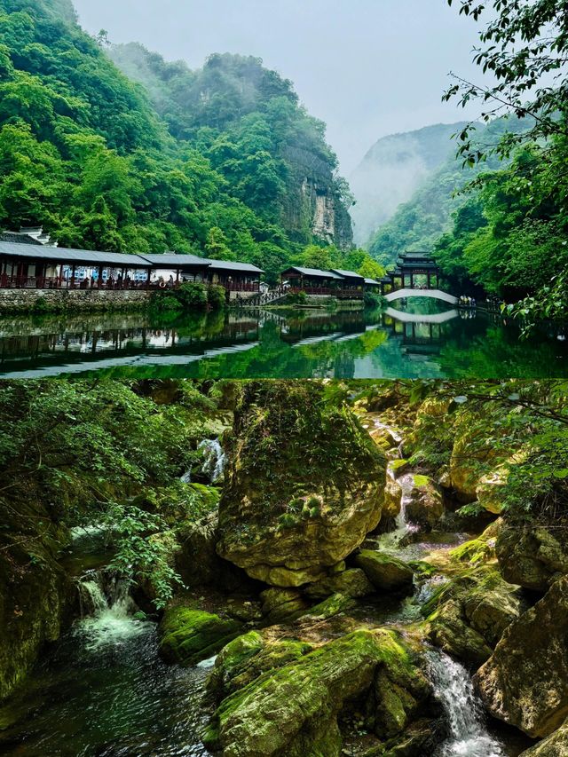 一定要嚟一次神農架！闖入北緯嘅綠野仙蹤