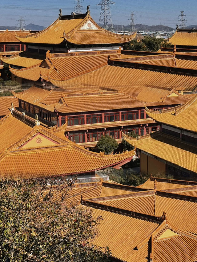 寧波小眾寺廟，拍照超靚超出片