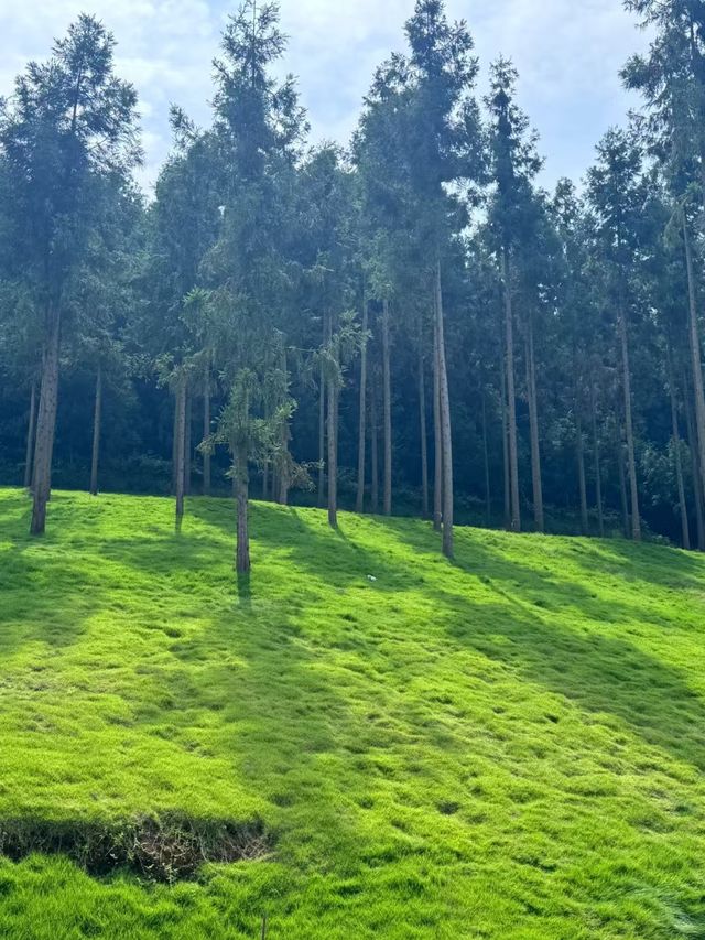 探索雲端咖啡館！洪雅樸那雅懸崖咖啡廳