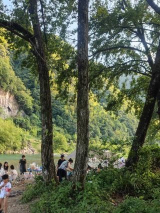 Have you visited Taizhou's version of the Norwegian forest?