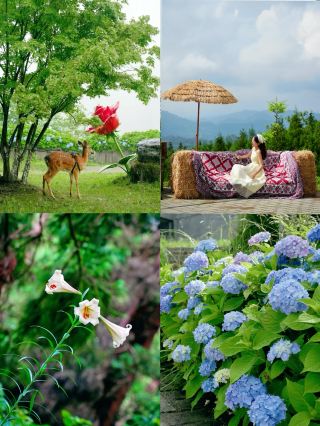 Not Dali! Right in Sichuan! A seriously underrated summer retreat secret spot discovered in Sichuan, a niche destination