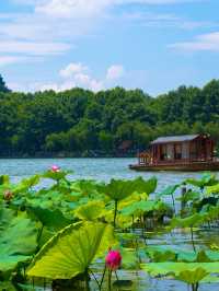 西湖嘅夏天真係正到爆