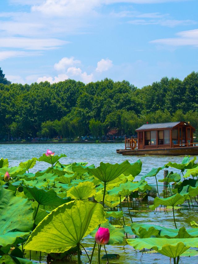 西湖嘅夏天真係正到爆