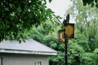 攝影｜瀋陽東陵郊野公園嘅夏天