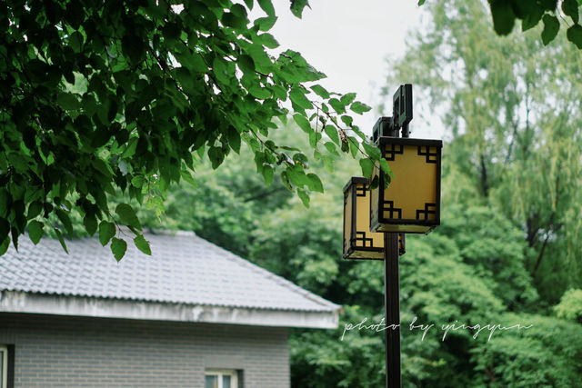 攝影｜瀋陽東陵郊野公園嘅夏天