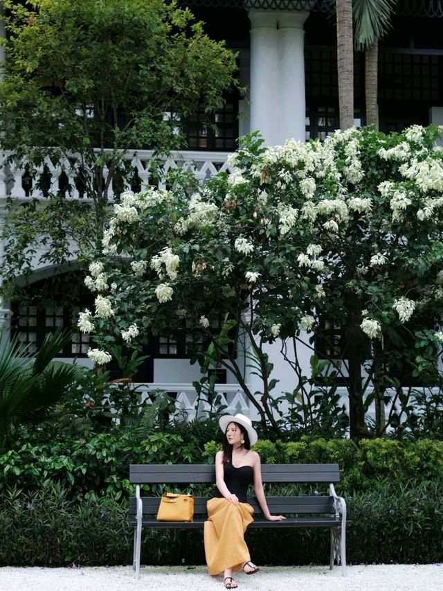 Singapore South of France Style🏨Raffles Hotel♥️