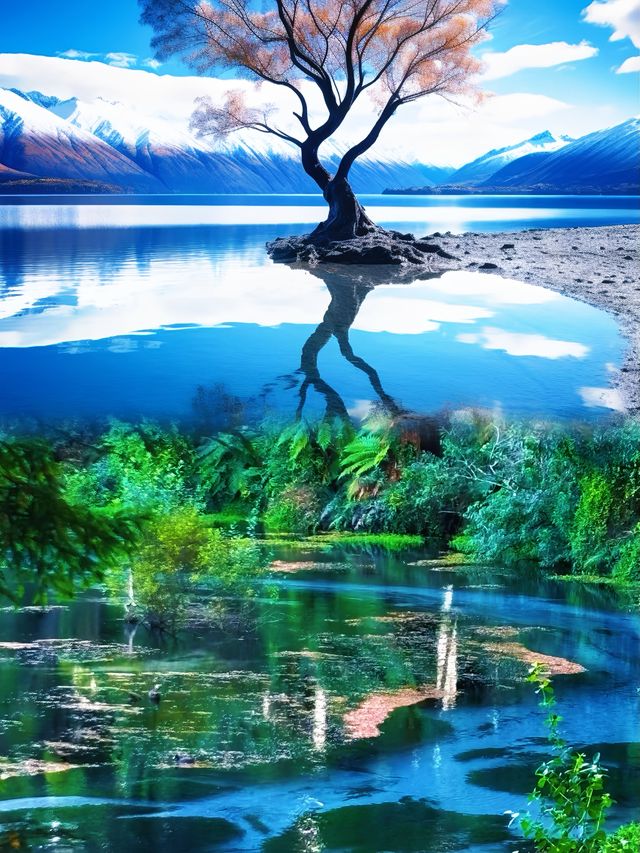 紐西蘭醉美湖光山色
