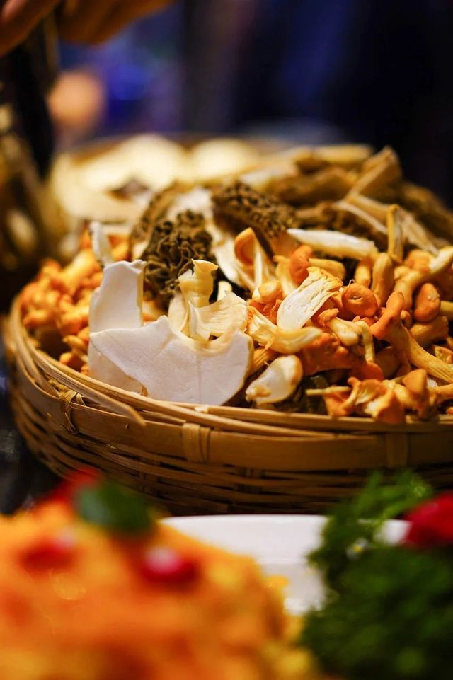 西雙版納拾菌指南