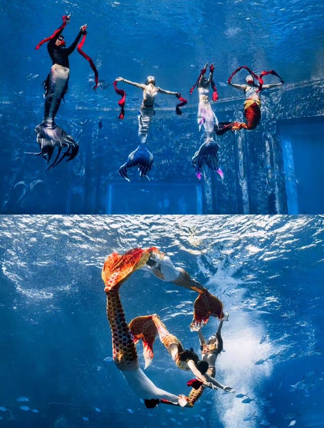 三亞亞特蘭蒂斯水族館高效遊玩攻略