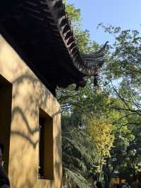 蘇州三天兩夜保姆級攻略｜600蚊玩轉姑蘇城