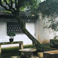 魯迅故裏｜來紹興必打卡之地，跟著課本遊百草園+三味書屋