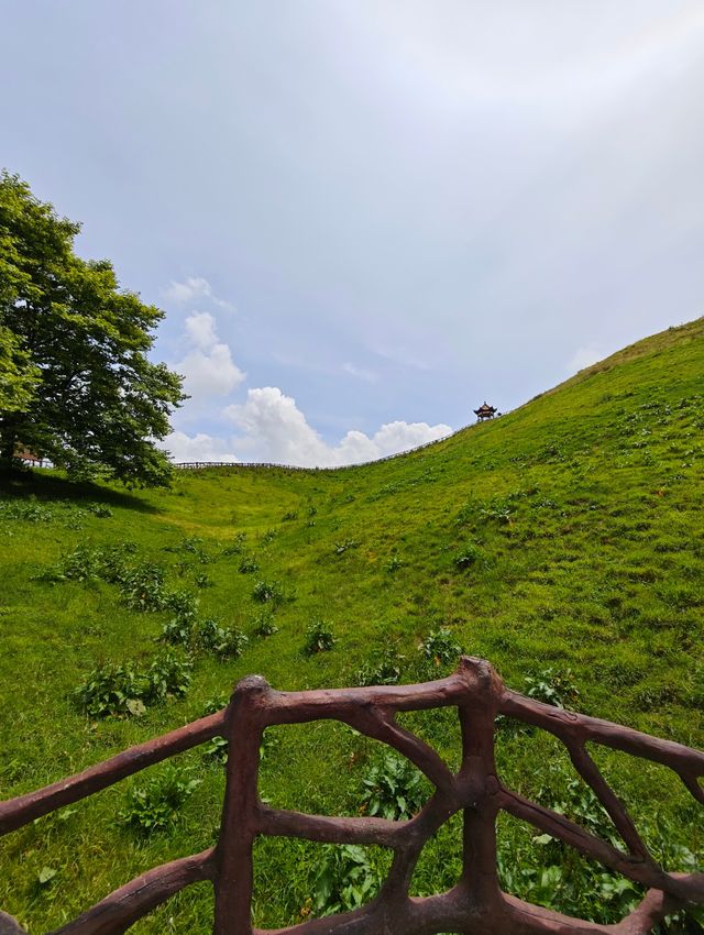 闖入南方嘅呼倫貝爾——南山牧場