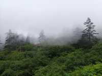 世界桌山-瓦屋山，來邂逅一場雲端的綺夢，奔赴這場心靈之約！